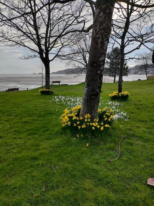 Fishermen'S Cottage With Log Burner, 2 Bathrooms & Sea Views From Garden Terraces The Mumbles Eksteriør billede